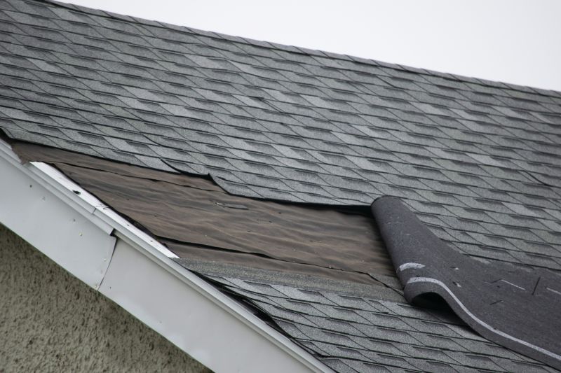 Gutter and Edge Repairs
